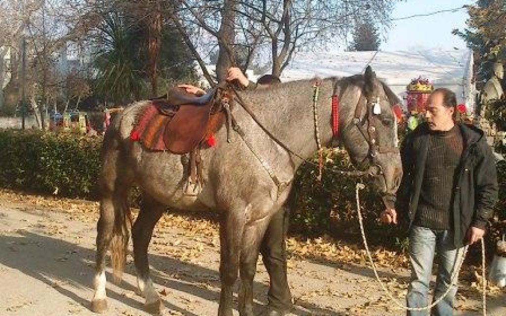XORIOL