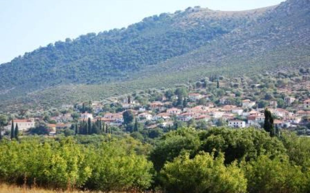 XRYSOBITSA 14