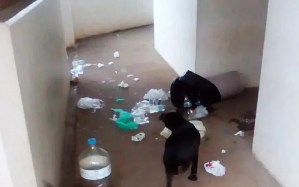 adespota nosokomeiao