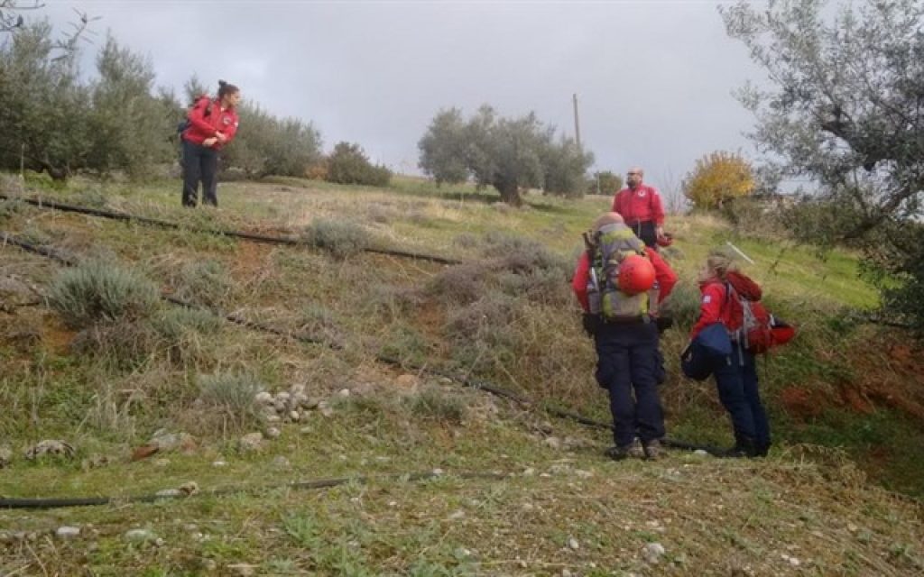 aereuna diasosi