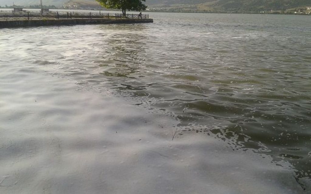 afri limni1