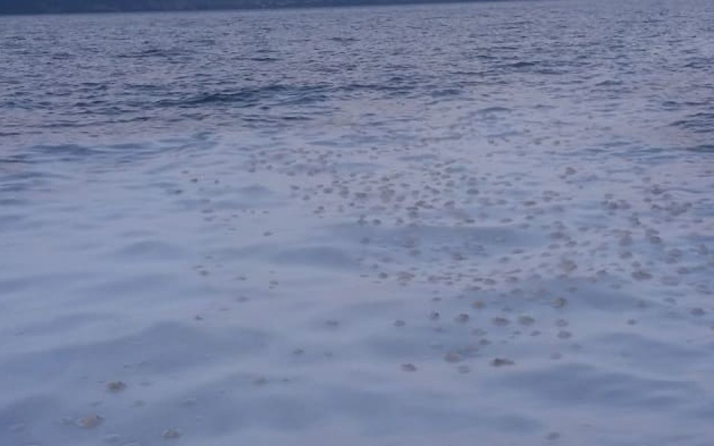 afroi limnoi iounios1