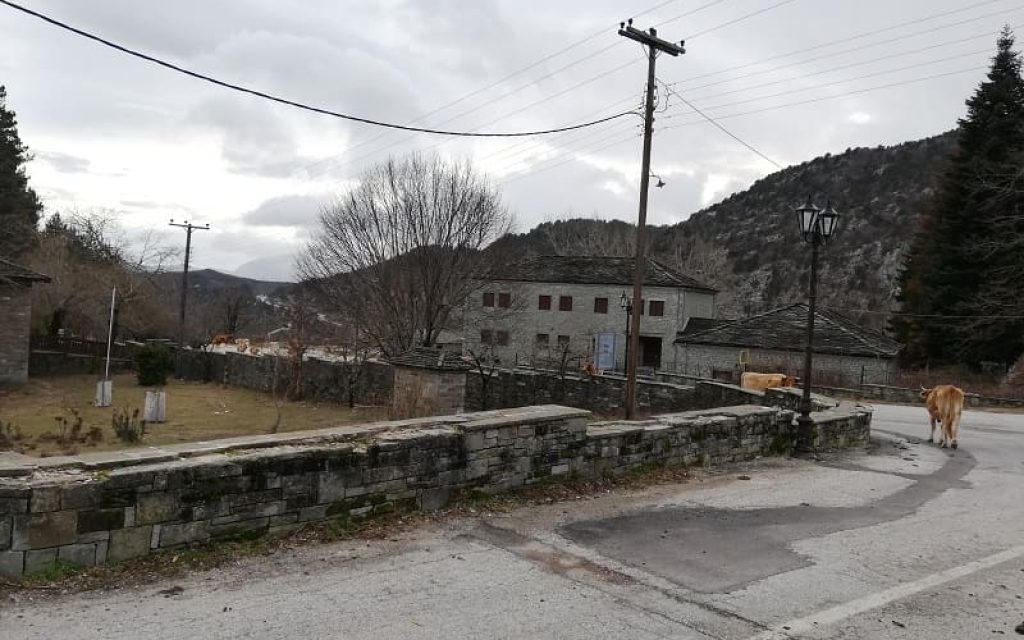 agelades tsepelovo1