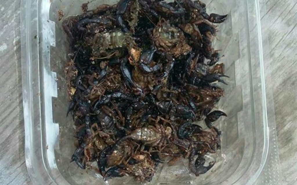 agia skorpioi