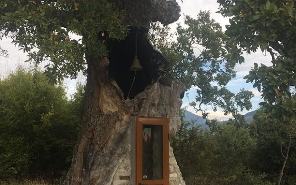 agia varvara dentroklisia1