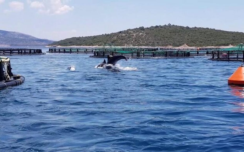 agios tomas katarismoi