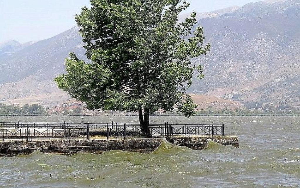 aglimni2