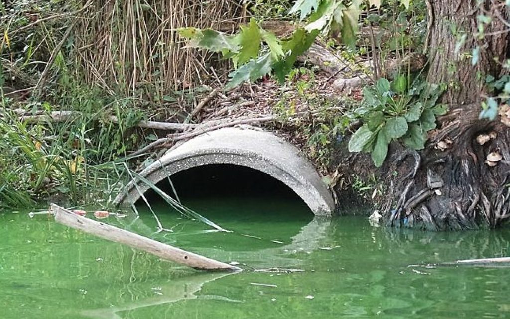 agogos li1