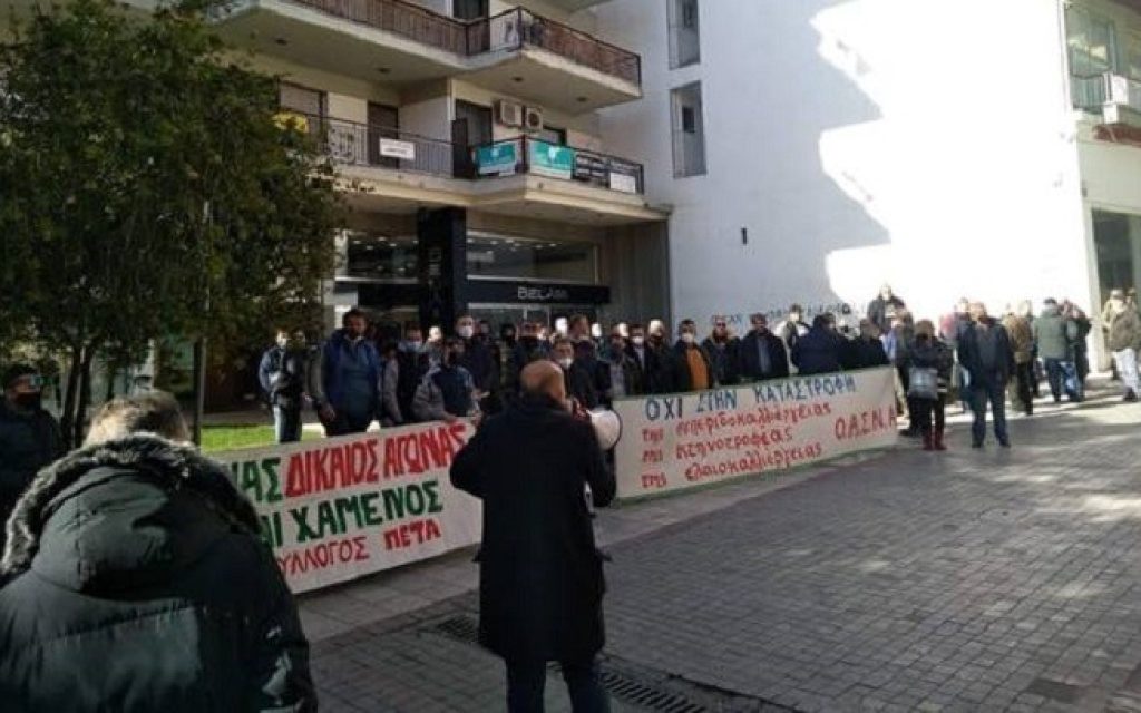 agrotes arta