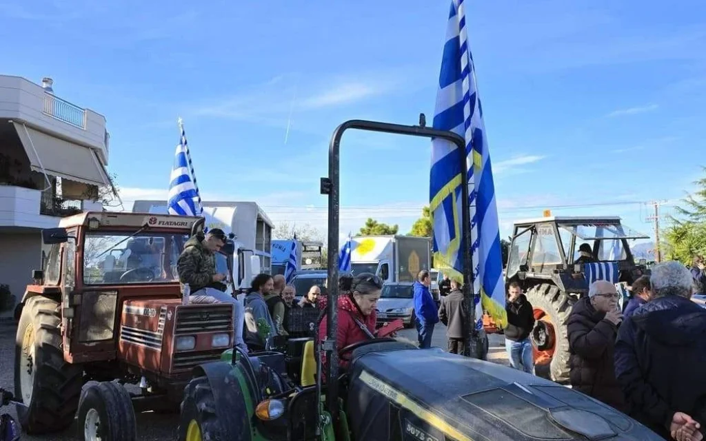 agrotes arta