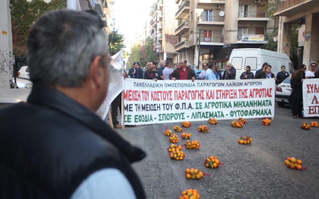 agrotes sinta2