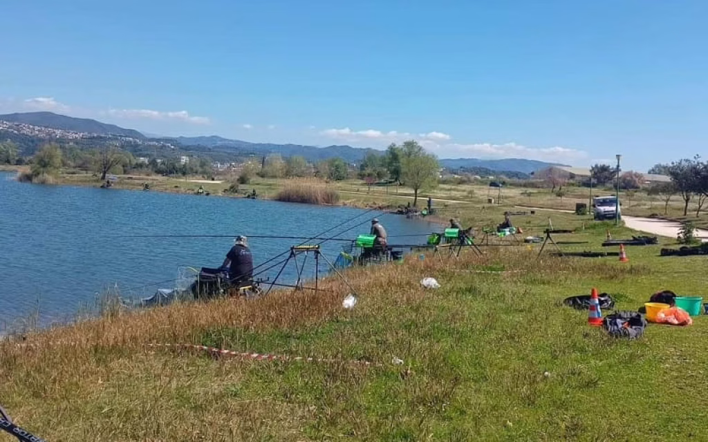 alieia arta