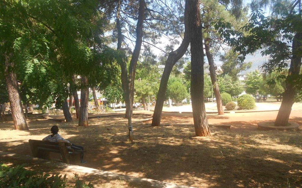 alsos parko