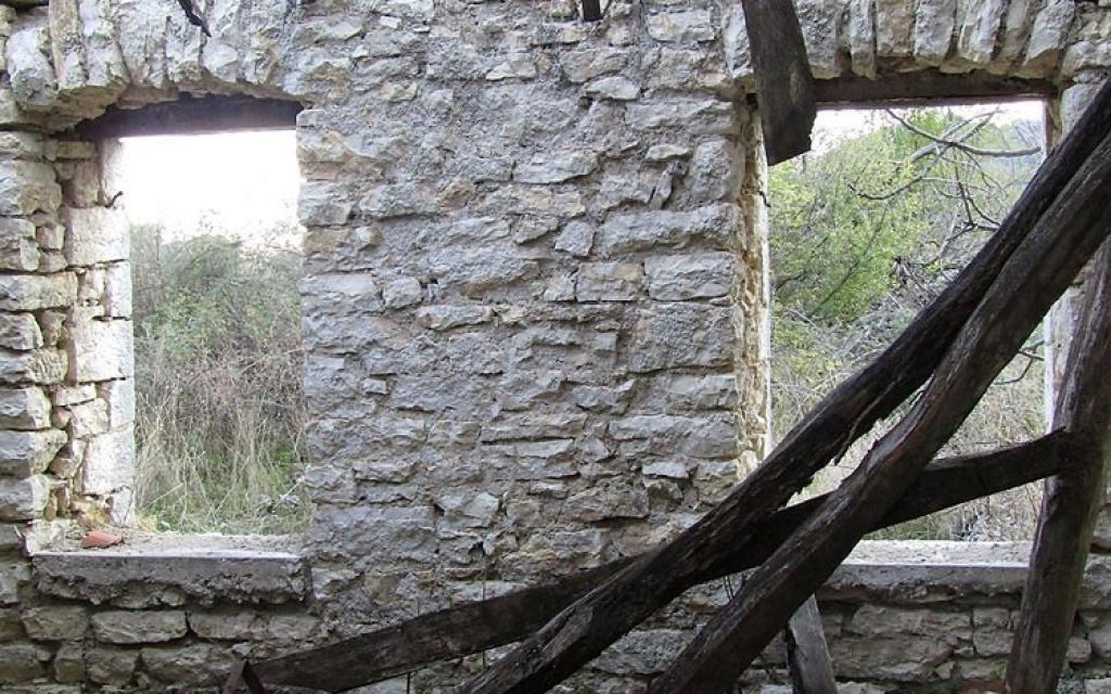 amauronoros3