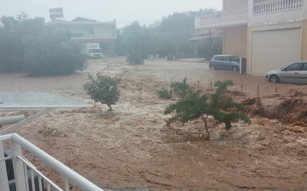amauroudi1
