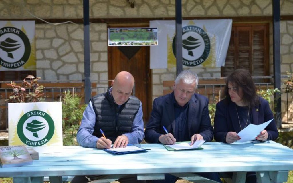 amiras pliakos