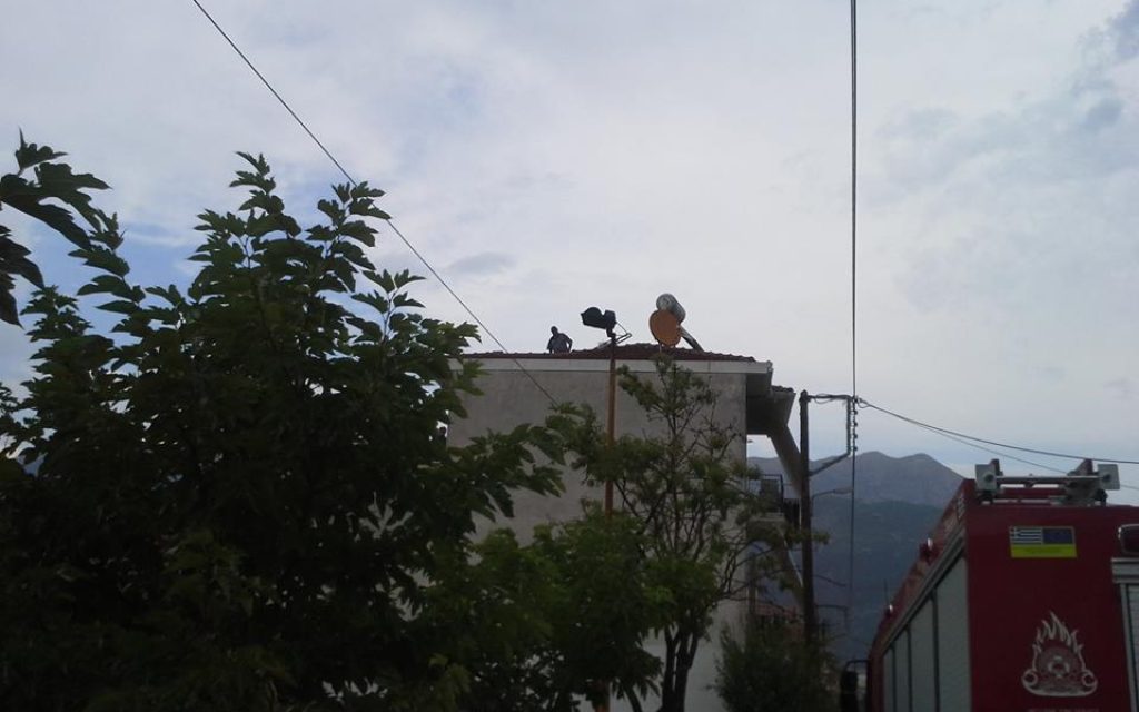 ampel an1