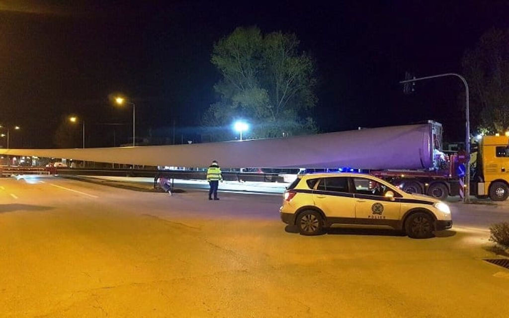 anemogenitria pterigio1