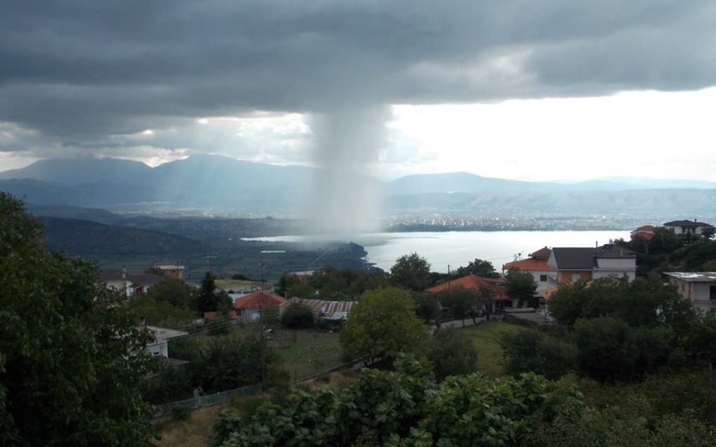 anemostrovilos d1