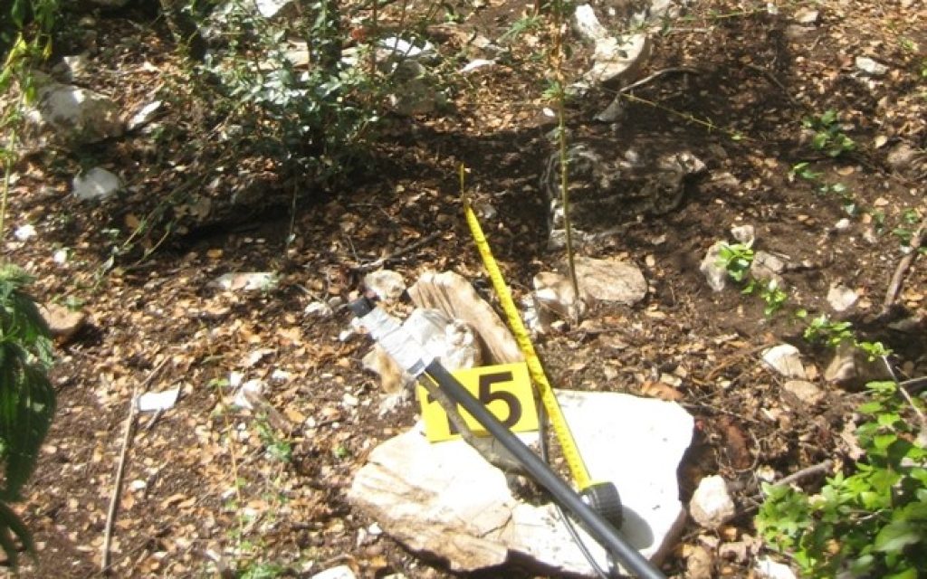 anor fiteia2