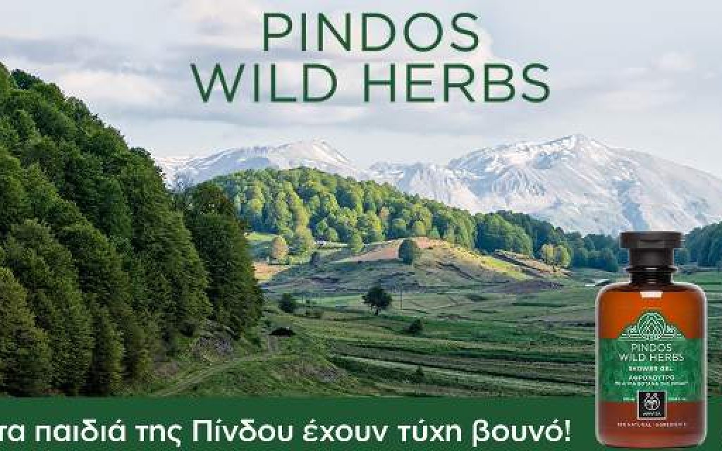 apivita pindos