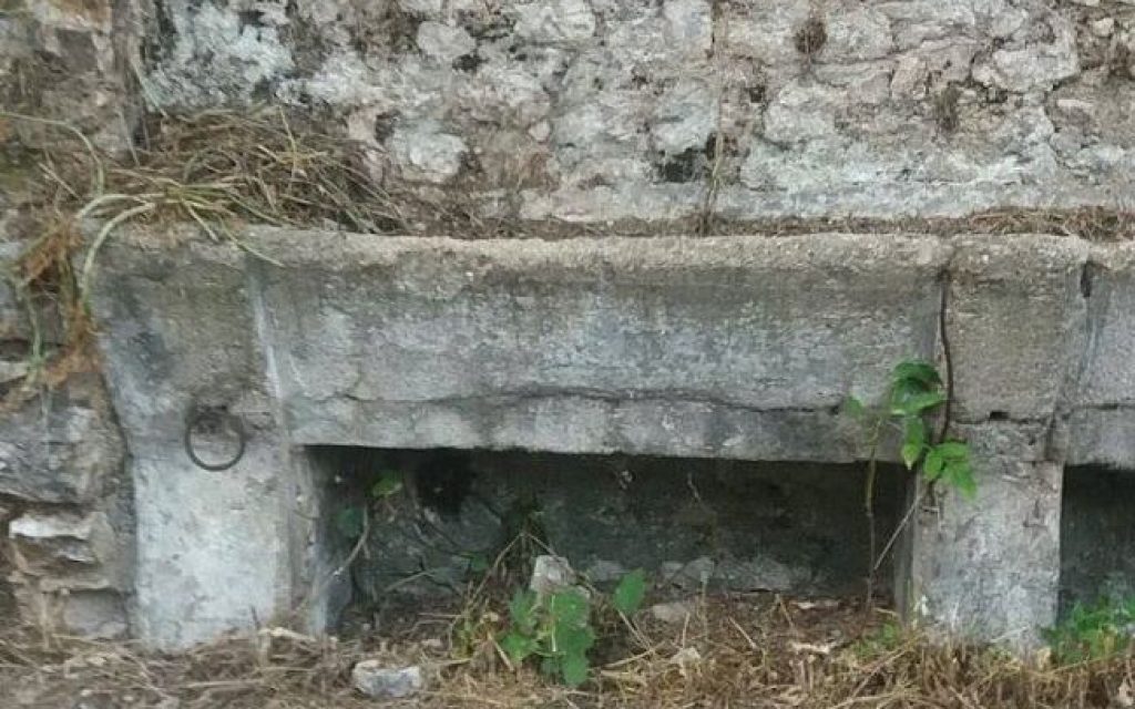 apo lita2