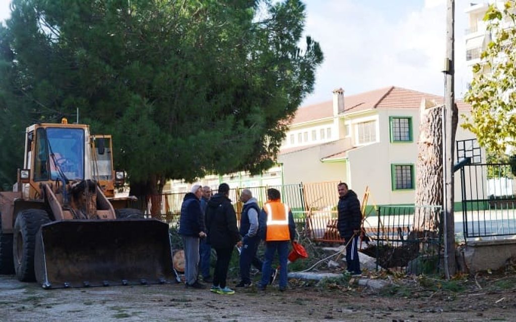 apokatastasi sinergeia