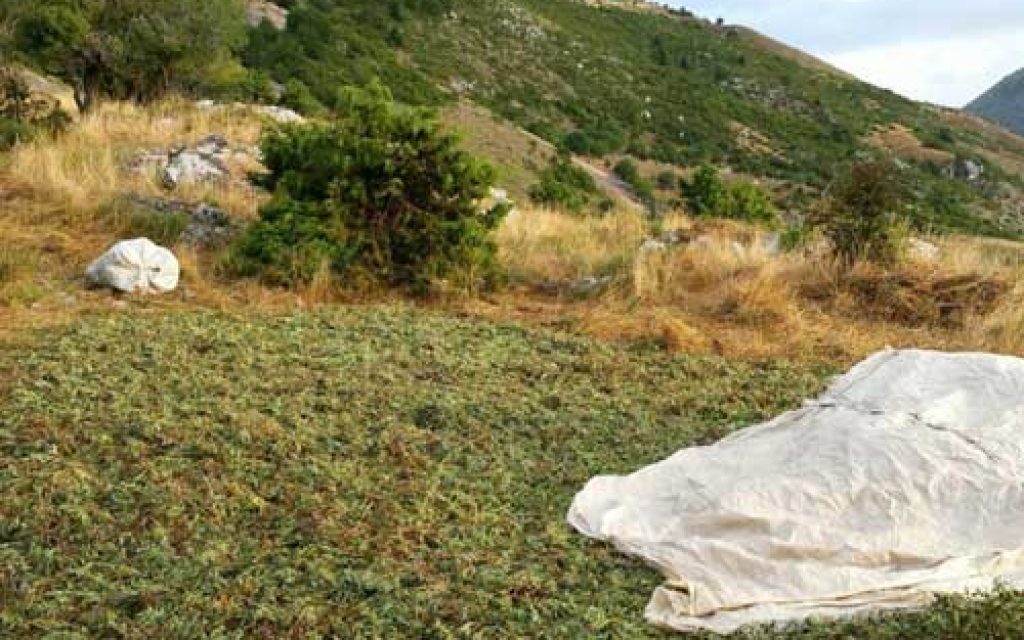 aromatika tsamantas