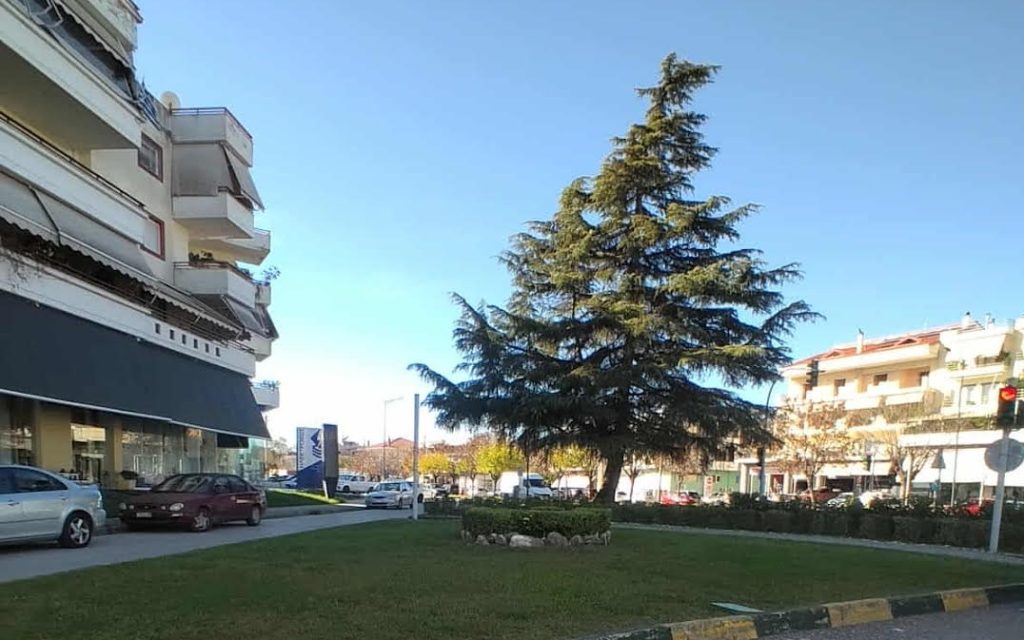 arta praino