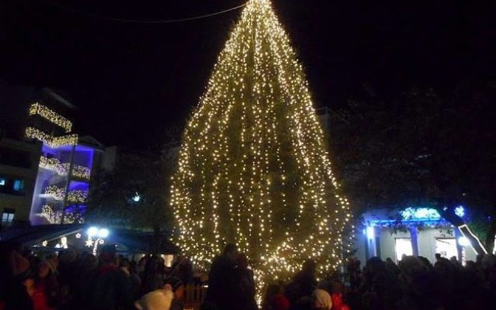 arta dentro1