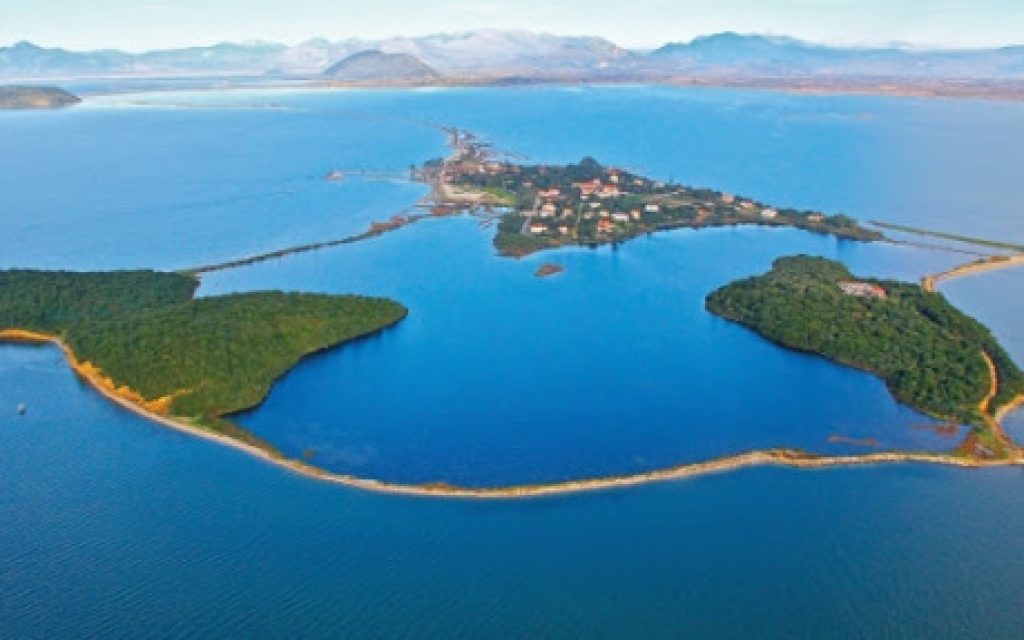 arta korondron