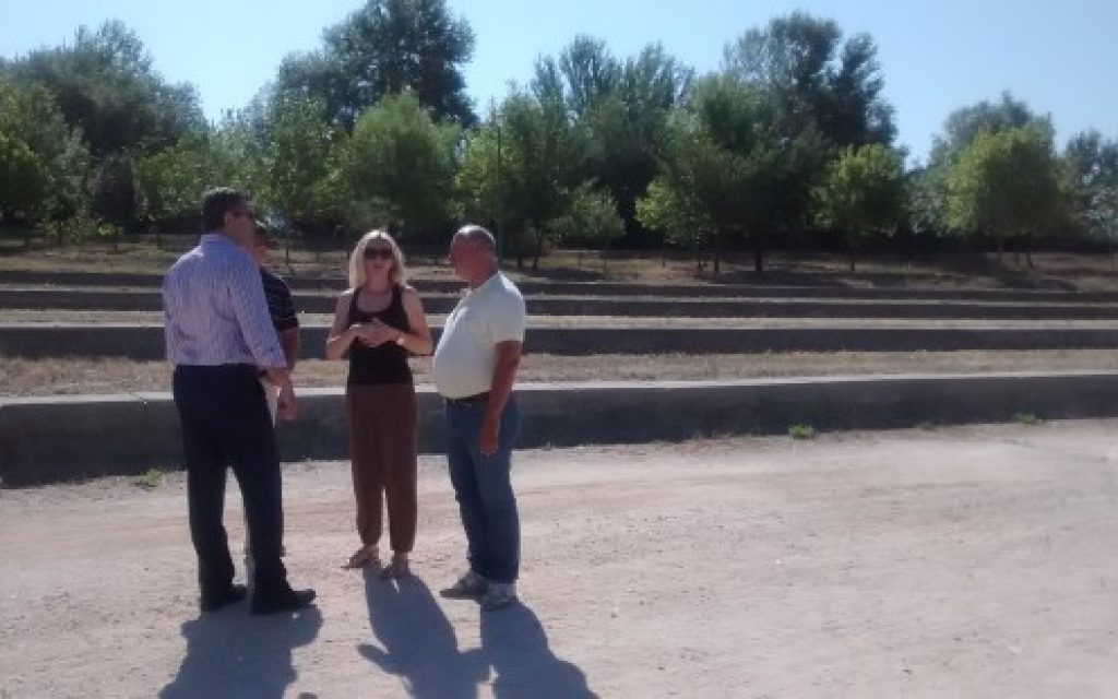 arta parapotamp