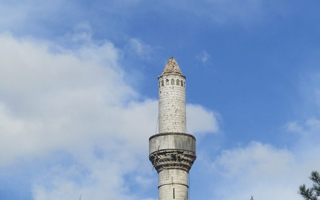 aslan tzami1