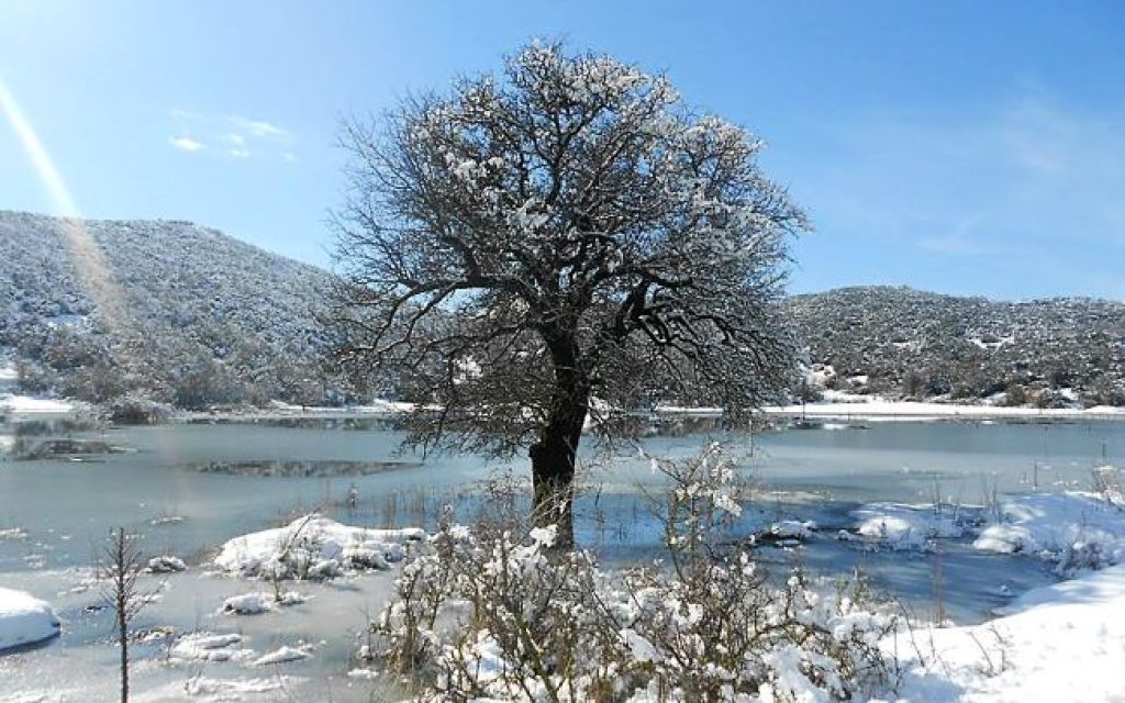 asprageloi xioni