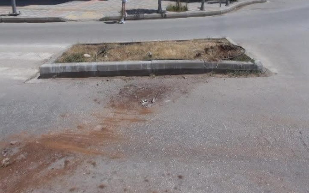 at seismoplikta