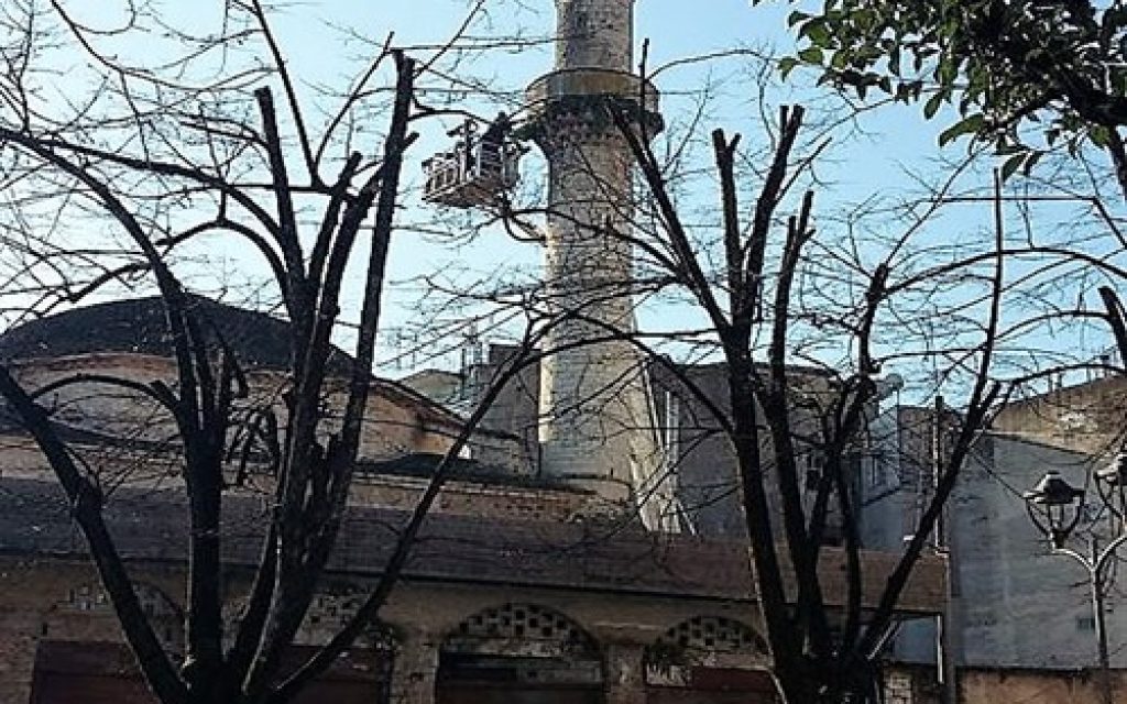 atzami pelargoi1