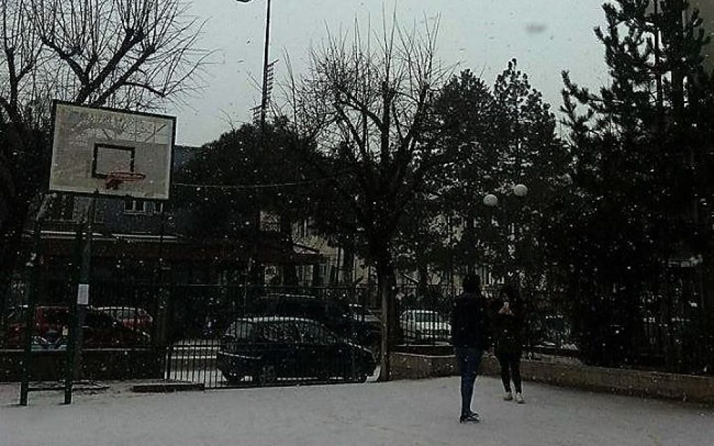 auli xioni
