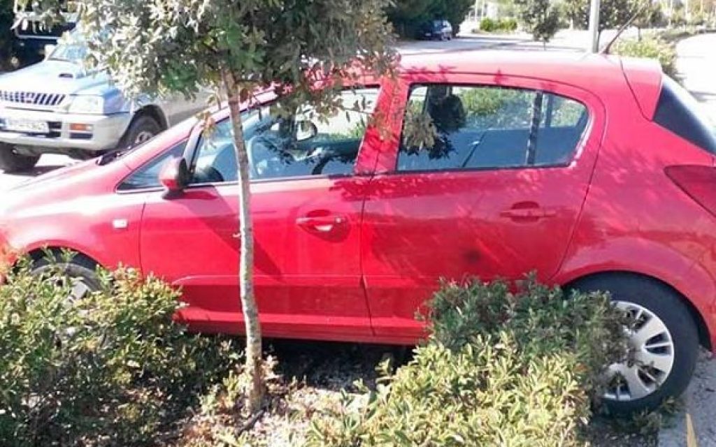 auto nisida