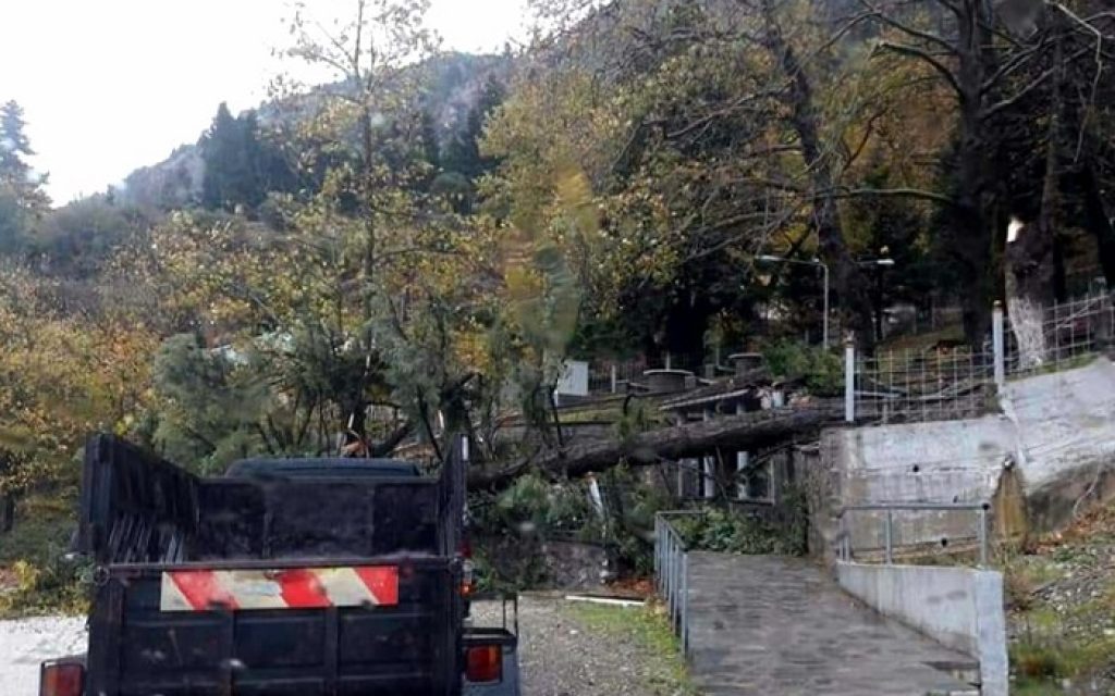 brisi xelona2