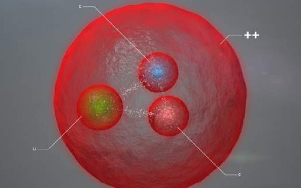 cern somatidio