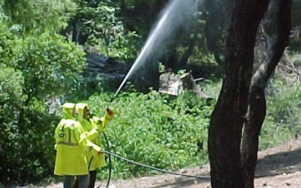 dakoktonia 864x400 c