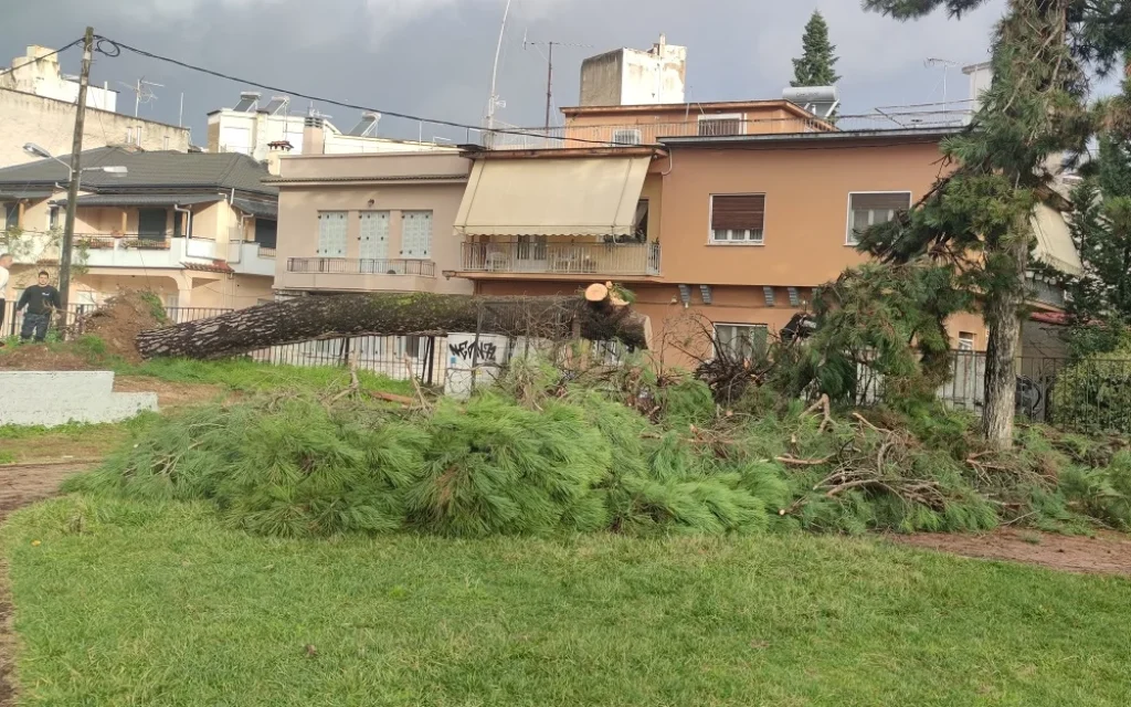 dentro akadimia