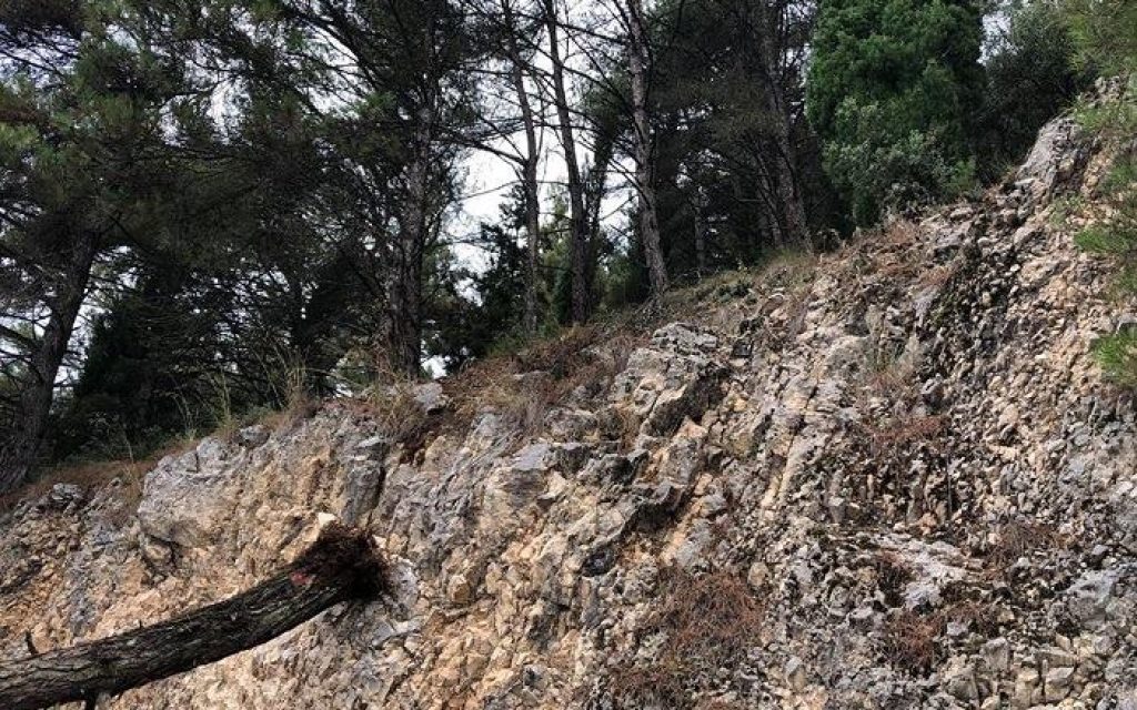 dentro driskos1