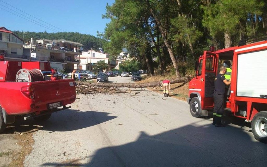 dentro perivleptos