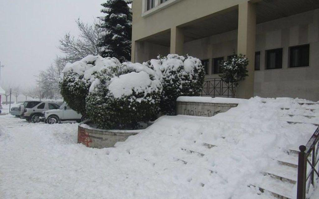 dikastiko xio2
