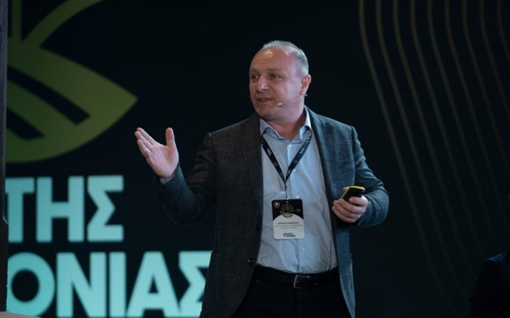 dimitriou pindos