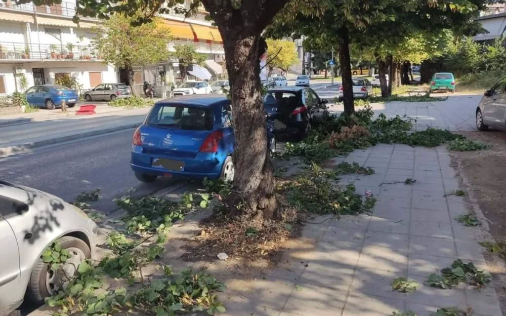 dompoli dentra