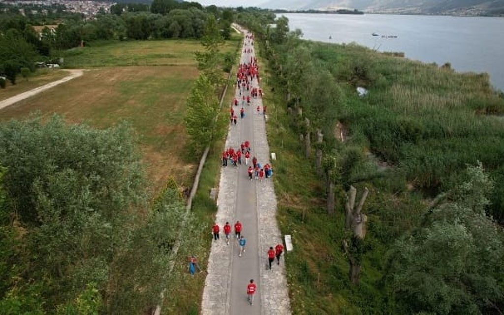 drasi katarismou