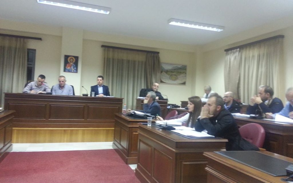 ds dodoni12