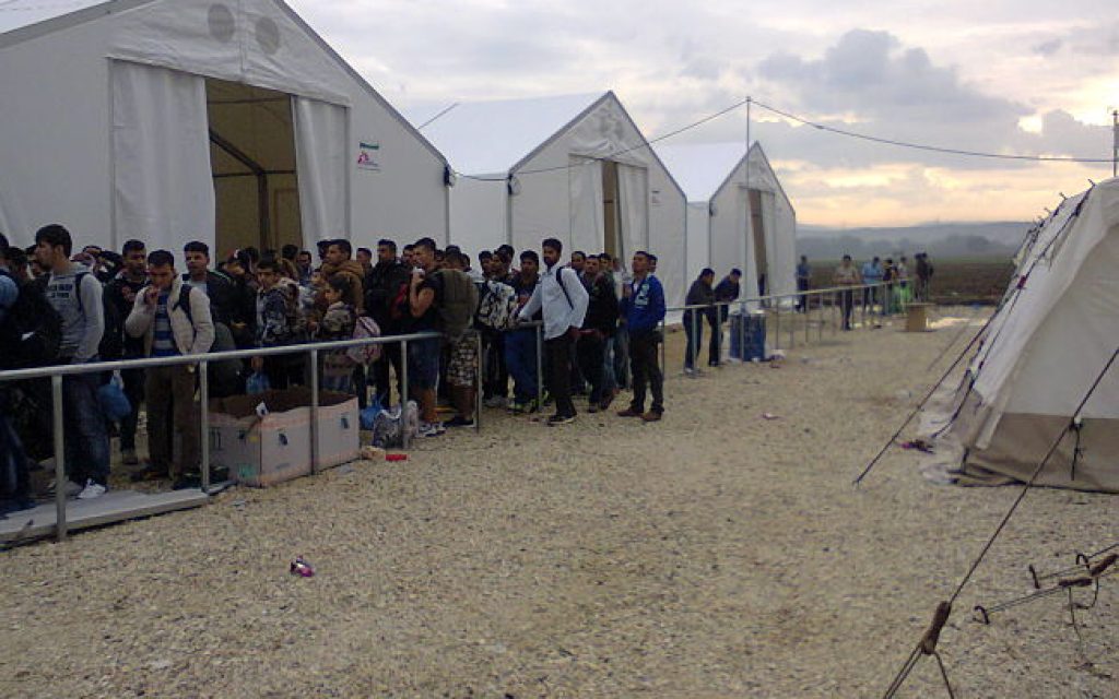 eidomeni pro16